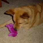 kill barney1